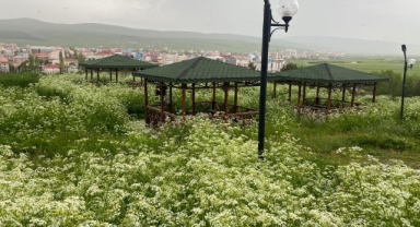 Tarihi Kalenin içi ve dışı bakımsızlık içinde!