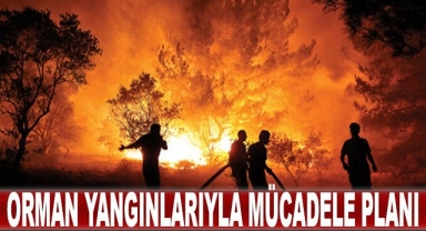 YANGINLARI İLE MÜCADELE KOMİSYON KARARLARI YAYIMLANDI
