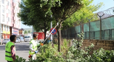 Belediye yol ve kaldırım kenarlarında temizlik çalışması başlattı