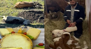 ÇOCUKLARI GİBİ ELLERİYLE BESLİYORLAR!