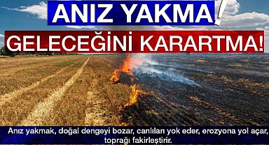 İl Tarım ve Orman Müdürlüğü'nden 'anız yakma' uyarısı