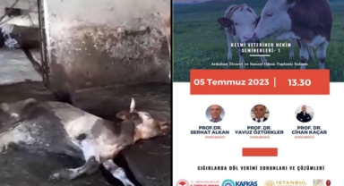 İl Tarım ve Orman Müdürlüğü'ne yine tepki