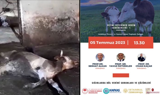 İl Tarım ve Orman Müdürlüğü'ne yine tepki