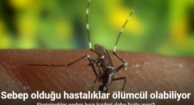 Sebep olduğu hastalıklar ölümcül olabiliyor