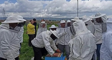 Yağışlar bal verimini arttırdı