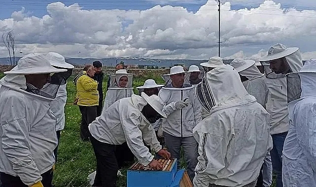 Yağışlar bal verimini arttırdı