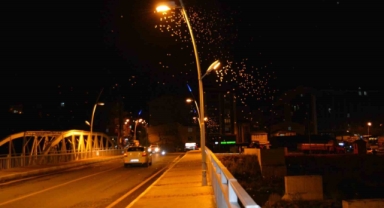 Ardahan’da ’bir günlükler’in ölüm uçuşu başladı