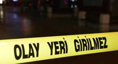 GÖLE'DE VAHŞET