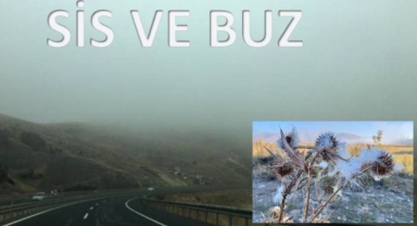 Ardahan'da Sis ve Buz etkisini göstermeye başladı