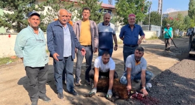 Çıldır Belediyesinden Sıcak Asfalt Çalışması