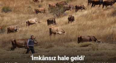 Çözümü nöbetleşmekte buldular