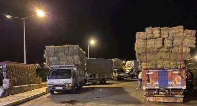 Parkı pazar yerine çevirdiler!