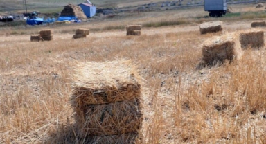 Patoslar Öğütüyor, Umutlar Artmıyor
