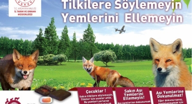 Doğaya aşılı yem bırakıldı