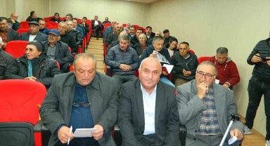 İklim değişikliği Posof'ta arıları olumsuz etkiledi