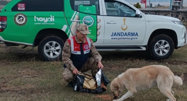 JANDARMA, HAYDİ TİMİ HAYVAN DOSLARIMIZI UNUTMADI