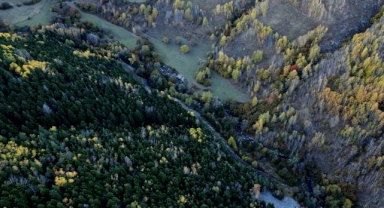 Posof rengarenk
