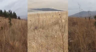 ŞİŞKA KURUDU!