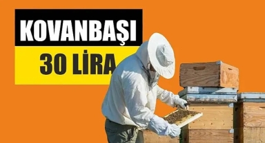 Tarım Bakanlığı arıcılara kovan başı para verecek!