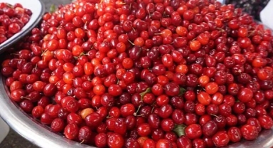 Tezgahlarda yerini aldı