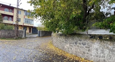 Yaprak dökümü başladı