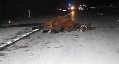 Ardahan'da feci kaza!