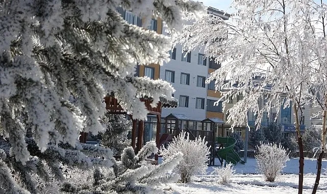 Ardahan'da Sibirya soğukları başladı