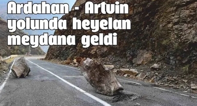 Dağdan kopan kaya parçaları yola düştü