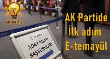 İlk adım E-temayül