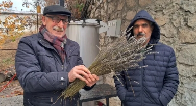 Lavantadan Yağ Çıkarılmaya Başlandı