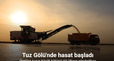 Tuz Gölü'nde hasat başladı