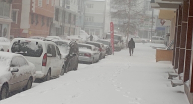 Ardahan, Kar ve Tipi etkisi altında!