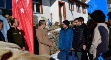 Aşılama ile buzağı ölümlerinin azalması hedefleniyor