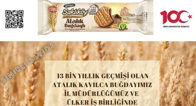 Ata Tohum Kavılca buğdayından bisküvi üretildi