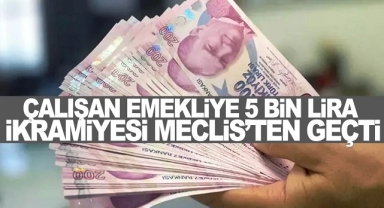 Çalışan emekliye ikramiye TBMM'den geçti