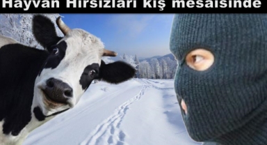 Hırsızların kış mesaisi başladı!