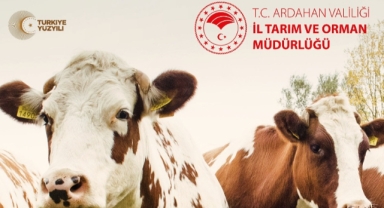İl Tarım ve Orman Müdürlüğünden Buzağı desteği