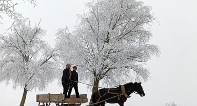 Ardahan buz kesti!