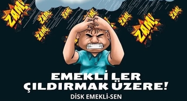 Disk Emekli-Sen: