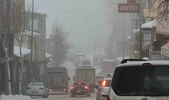 Ardahan’da soğuk hava ve sis etkili oldu
