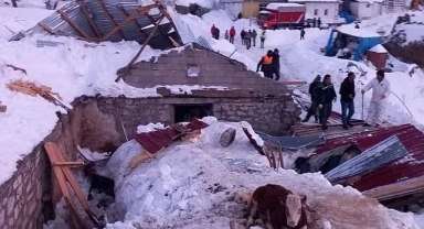 Hayvanları telef olan vatandaş için yardım kampanyası başlattılar