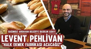 Pehlivan,