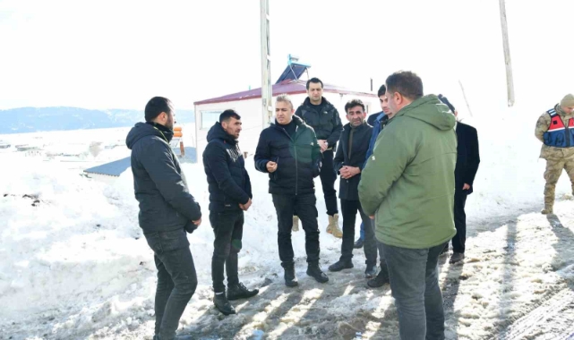 Vali Çiçek, çığ nedeniyle hasar gören konut ve ahırlarda incelemede bulundu