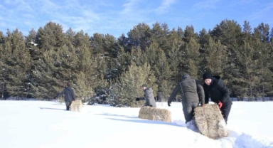 Yaban hayvanları için doğaya yem bırakıldı