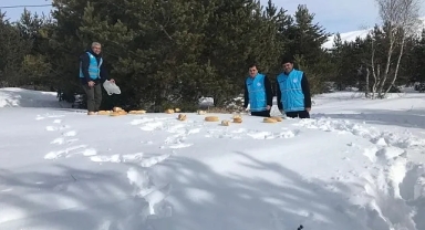 Yaban hayvanlarına destek eli