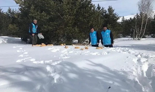 Yaban hayvanlarına destek eli