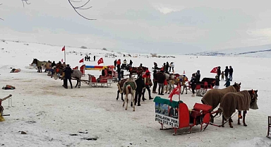 Çıldır Gölü'nde Atlı kızak keyfi
