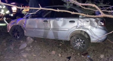 Yoldan çıkan otomobilin sürücüsü yaralandı