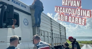 Ardahan'da 172 Araç ve 13,900 Hayvan Denetlendi
