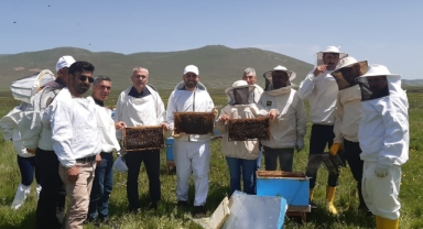 Ardahan'da Karslı Arı Yetiştiricilerine Uygulamalı Eğitim Verildi
